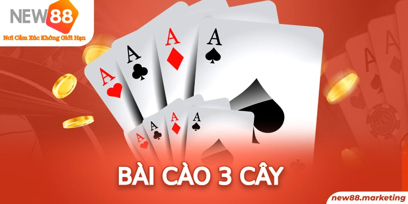 78 vảy gà tốt nên chọi