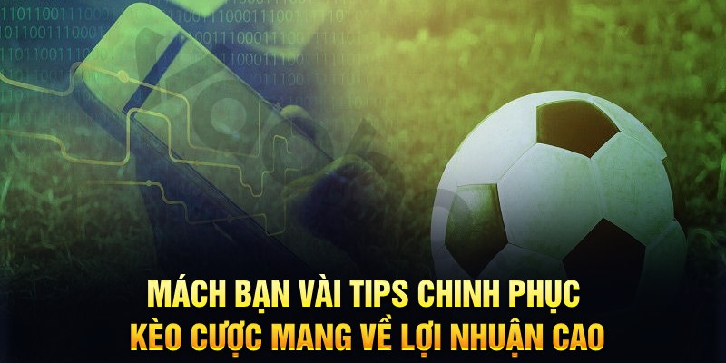 tt88 đăng nhập phỏm hàng đầu