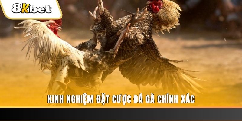tt88 xổ số thứ bảy hàng tuần