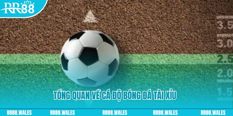 tt88 đăng nhập roulette online