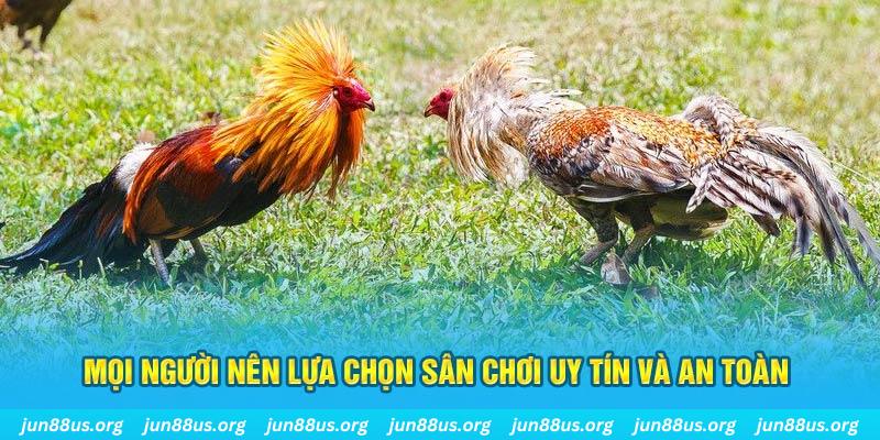 tt88 Cỡ bảy