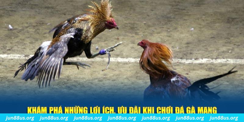 tt88 đăng nhập liêng live