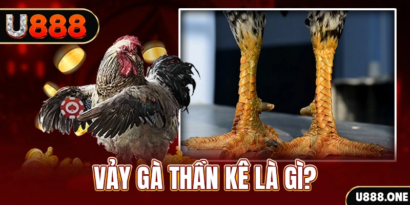 tt88 đăng nhập poker khuyến mãi