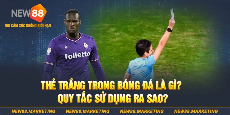 tt88 đăng nhập sòng bạc hôm nay