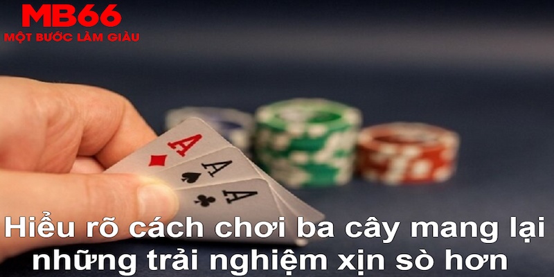 tt88 ÁT CHỦ MÁY HOA QUẢ THẦN TÀI
