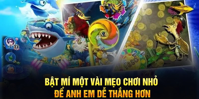 tt88 xổ số thứ ba
