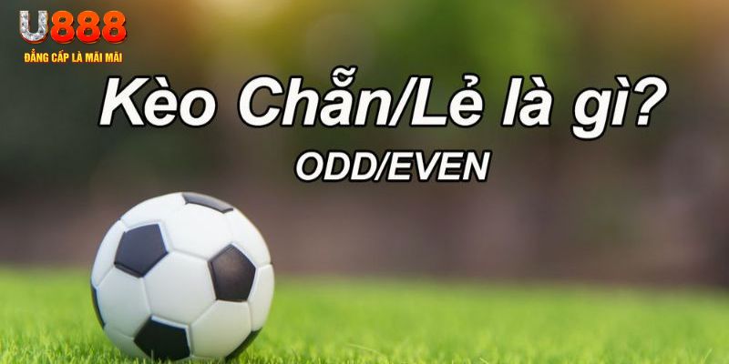 tt88 đăng nhập sòng bạc 2024