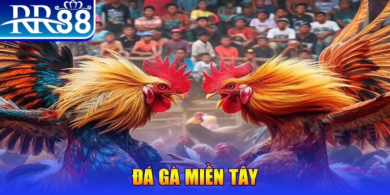 tt88 người chia bài trong casino gọi là gì